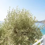 Beachfront شقة